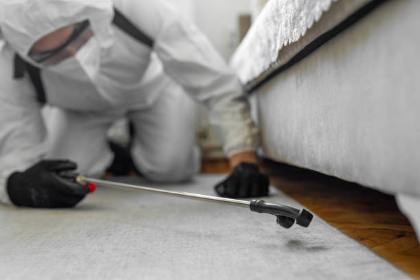 Professional Cockroach Control technician working in Rio Grande, OH