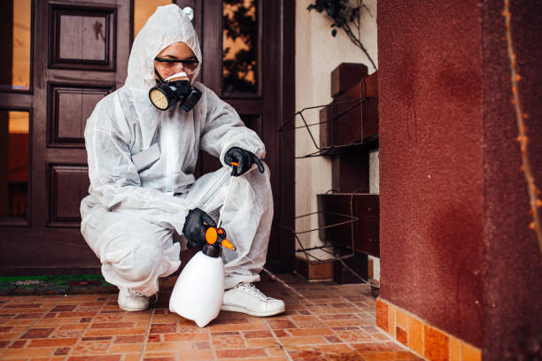 Reliable Cockroach Control contractor in Rio Grande, OH by Nex Pest Control