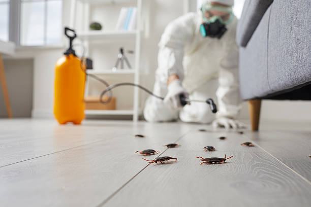 Trusted Fumigation Services service in Rio Grande, OH - Nex Pest Control