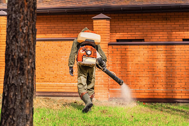 Trusted Bed Bug Control service in Rio Grande, OH - Nex Pest Control